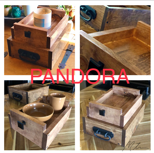 “PANDORA” Transport and store bin set